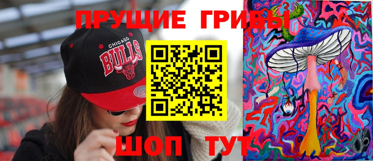 Псилоцибиновые грибы Psilocybe Троицк
