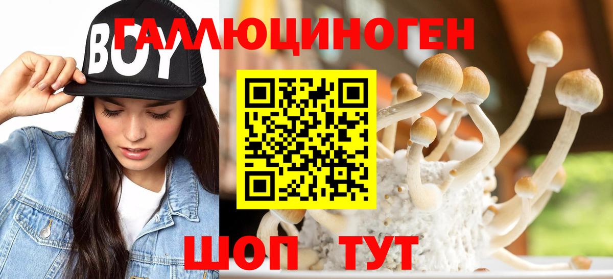Троицк  Галлюциногенные грибы Psilocybe  Вход с VPN  Галлюциногенные грибы GOLDEN TEACHER 